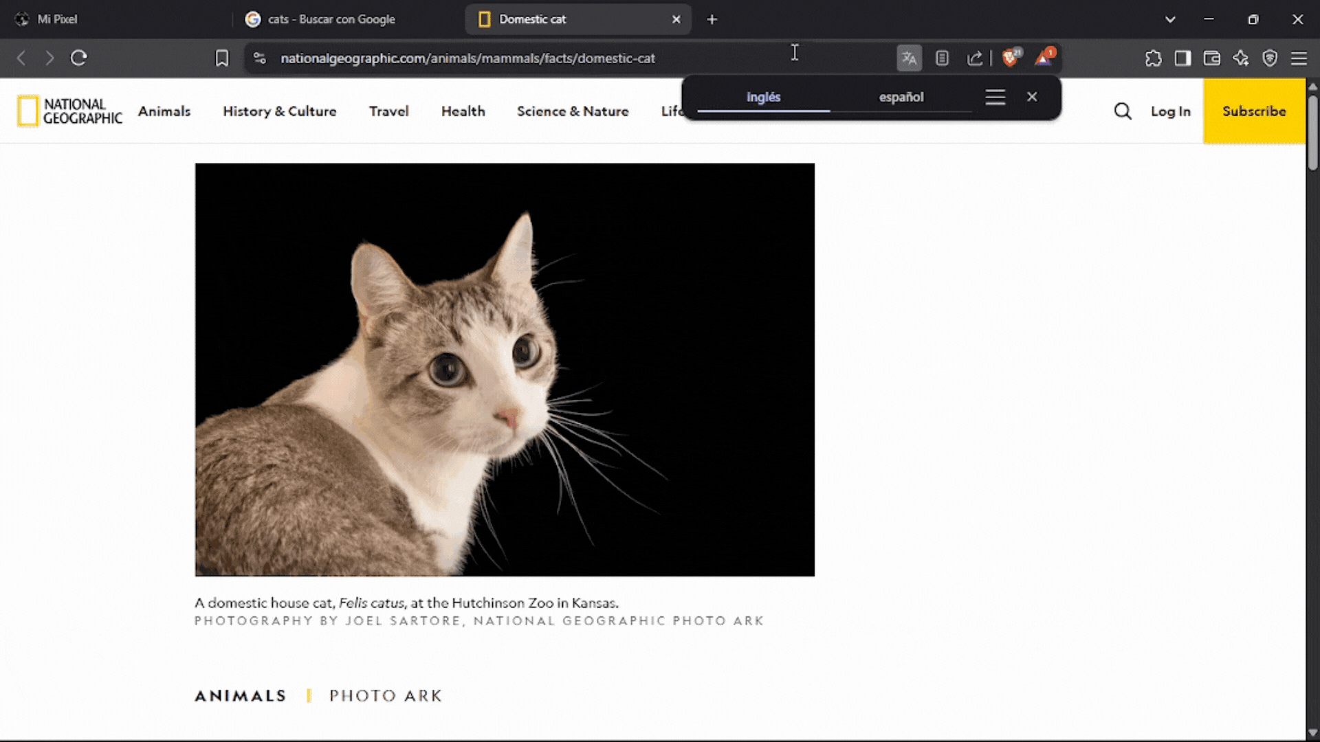 Ayuda URL de Pixel
